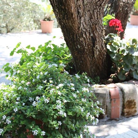 マッサ・ルブレンセ Casa Josellaヴィラ エクステリア 写真