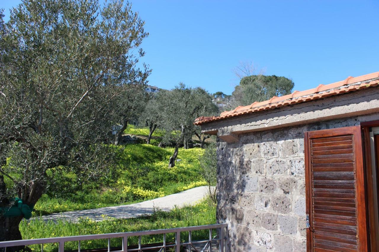 マッサ・ルブレンセ Casa Josellaヴィラ エクステリア 写真